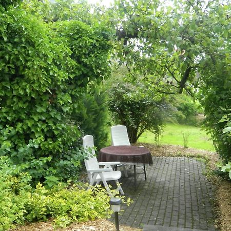 Large Detached Holiday Home In Hesse With Private Garden And Terrace هومبرغ المظهر الخارجي الصورة