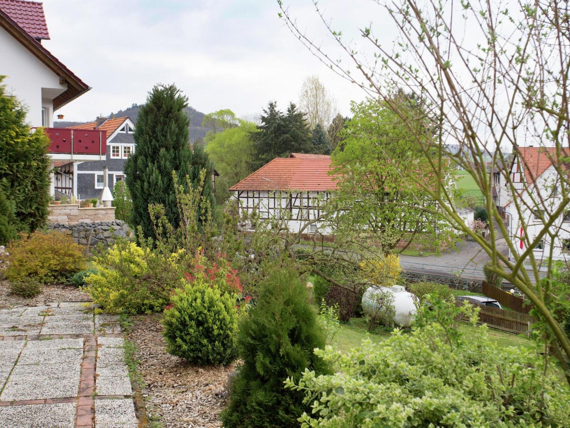 Large Detached Holiday Home In Hesse With Private Garden And Terrace هومبرغ المظهر الخارجي الصورة