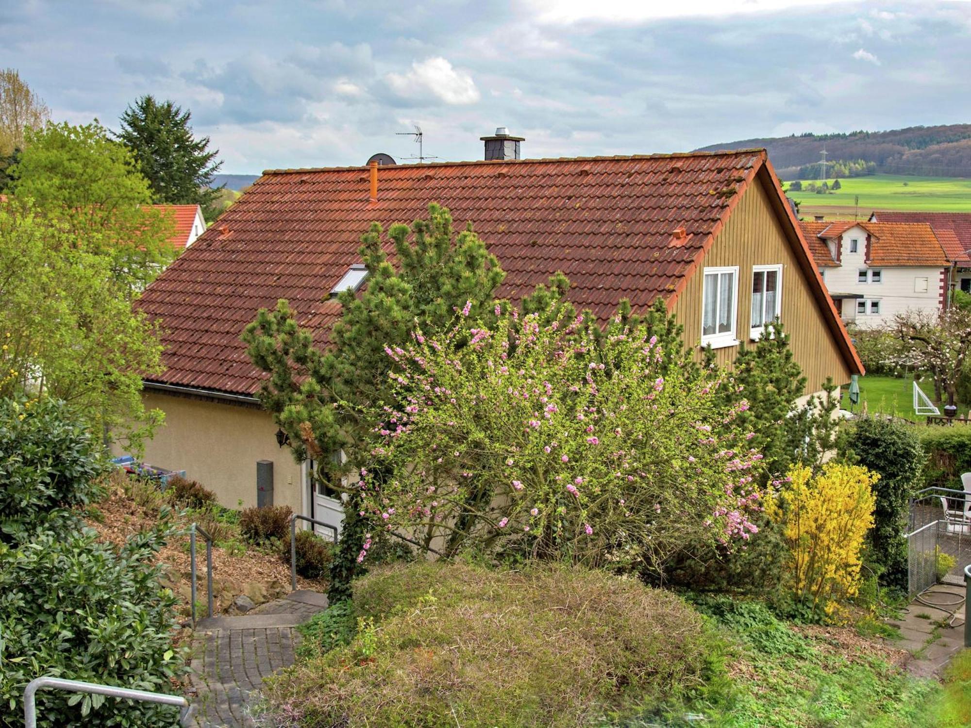 Large Detached Holiday Home In Hesse With Private Garden And Terrace هومبرغ المظهر الخارجي الصورة